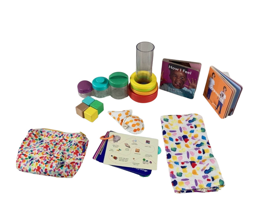Shop Lovevery The Explorer Play Kit at Goodbuygears