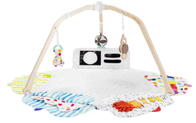 Shop Lovevery The Play Gym at Goodbuygears