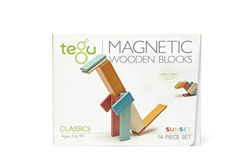 Tegu Magnetic Wood Blocks