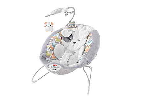 Shop Fisher Price Deluxe Bouncer, My Little Snugapuppy at Goodbuygears