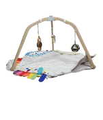 Shop Lovevery The Play Gym at Goodbuygears