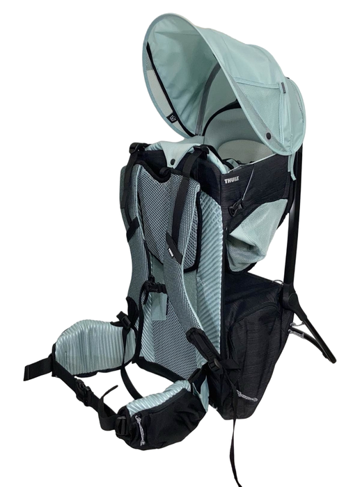 Shop Thule Sapling Child Carrier, Black at Goodbuygears