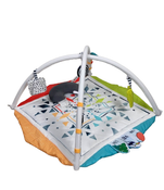 Shop Sassy Hello Baby Milestone Play Gym at Goodbuygears