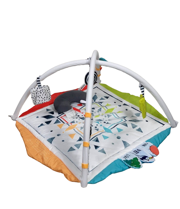 Shop Sassy Hello Baby Milestone Play Gym at Goodbuygears