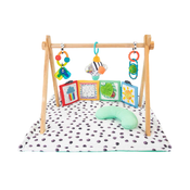 Shop Sassy Sensory Stages Developmental Play Gym at Goodbuygears