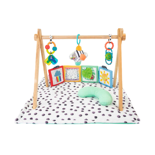 Shop Sassy Sensory Stages Developmental Play Gym at Goodbuygears