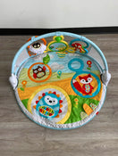used Skip Hop Explore And More Amazing Arch Activity Gym