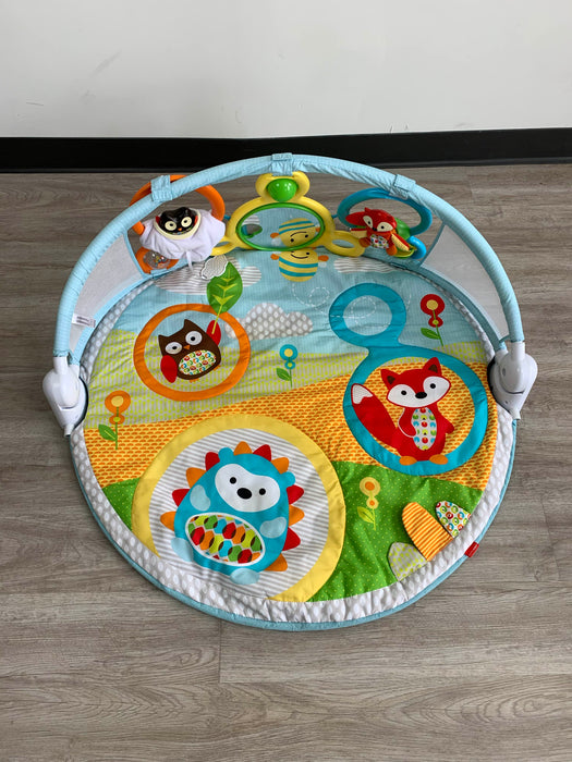 used Skip Hop Explore And More Amazing Arch Activity Gym