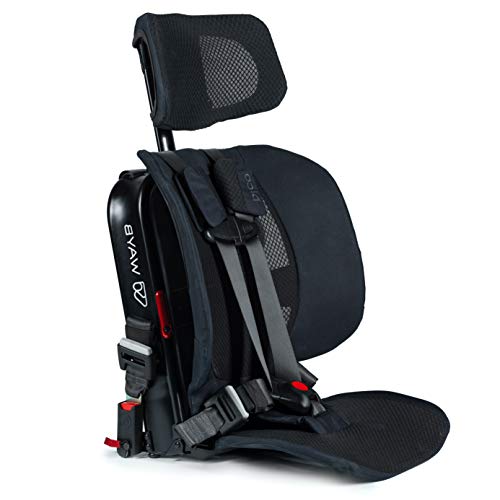 Shop WAYB Pico Portable Car Seat, 2020, Earth at Goodbuygears