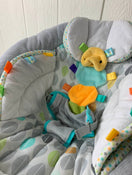 Taggies Soft N Snug Bouncer