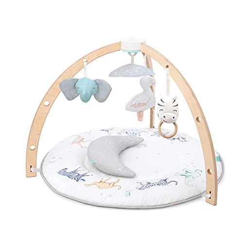 Shop Aden + Anais Play + Discover Baby Activity Gym, Rising Star at Goodbuygears