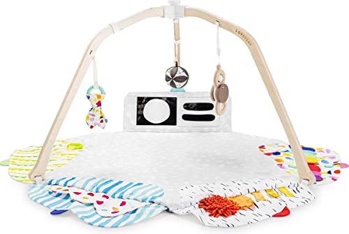 Shop Lovevery The Play Gym at Goodbuygears
