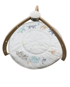 Shop Aden + Anais Play + Discover Baby Activity Gym, Rising Star at Goodbuygears
