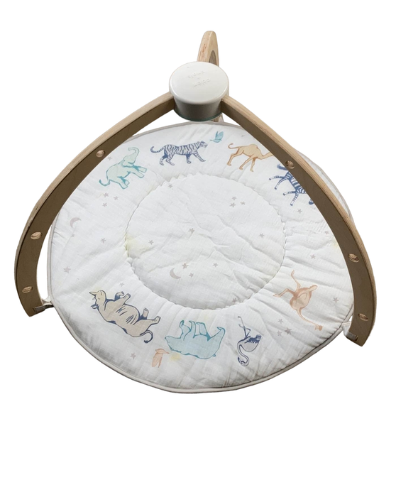 Shop Aden + Anais Play + Discover Baby Activity Gym, Rising Star at Goodbuygears