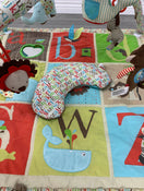 used Gyms Playmats