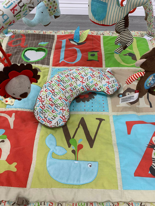 used Gyms Playmats