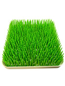 secondhand Boon Grass Countertop Drying Rack with Accessories