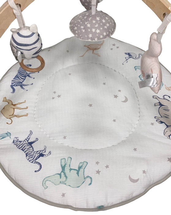 Shop Aden + Anais Play + Discover Baby Activity Gym, Rising Star at Goodbuygears