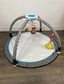 used Fisher Price Jonathan Adler Sensory Gym
