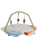 Shop Lovevery The Play Gym at Goodbuygears