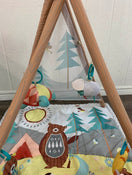 used Skip Hop Camping Cubs Activity Gym