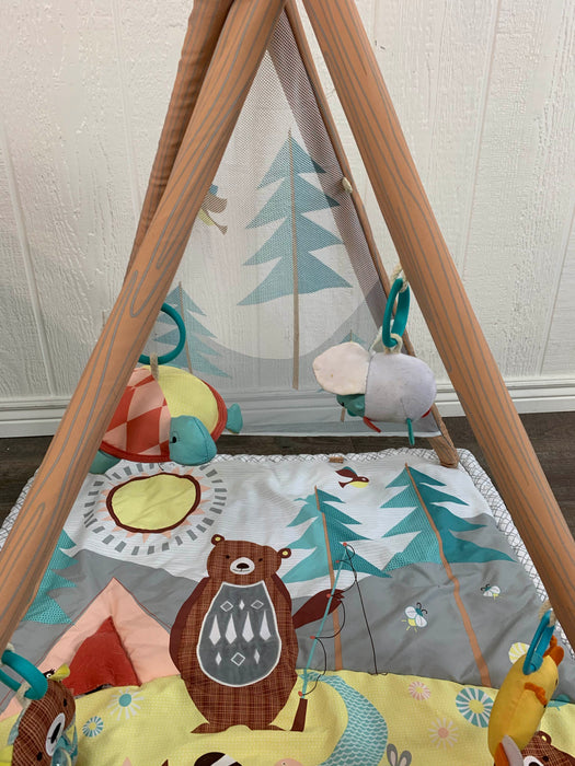 used Skip Hop Camping Cubs Activity Gym