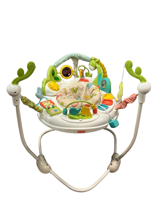 Shop Fisher Price Jumperoo Activity Center, Animal Krackers at Goodbuygears
