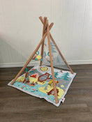 used Gyms Playmats