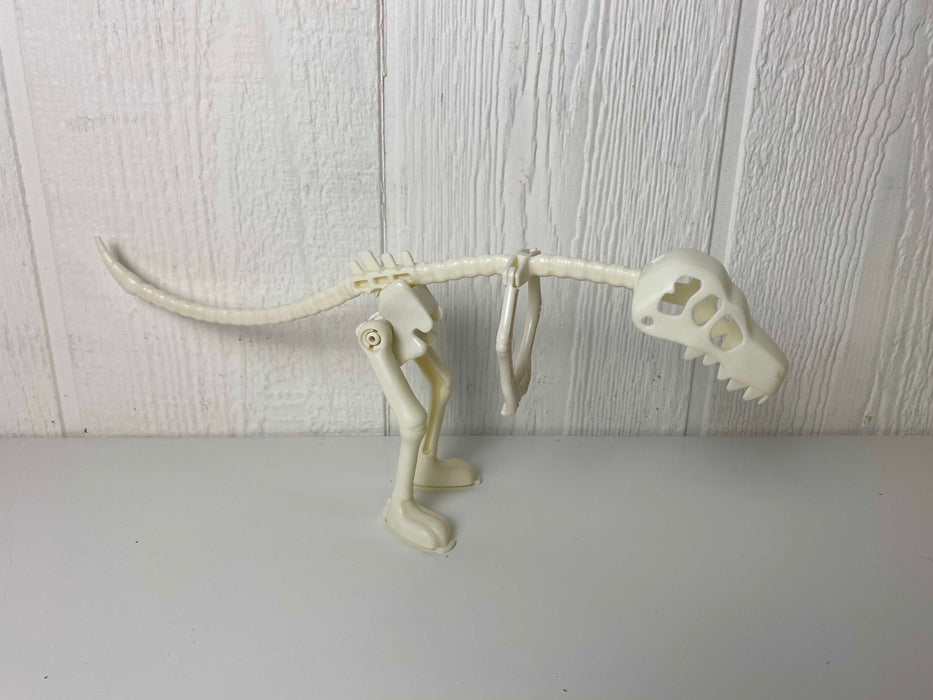 used Dinosaur Skeleton