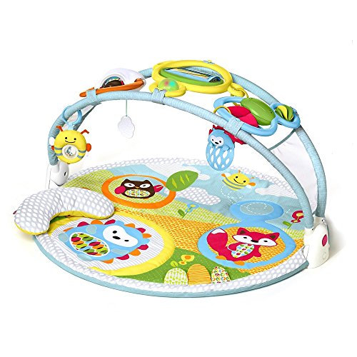 Skip Hop Explore And More Amazing Arch Activity Gym
