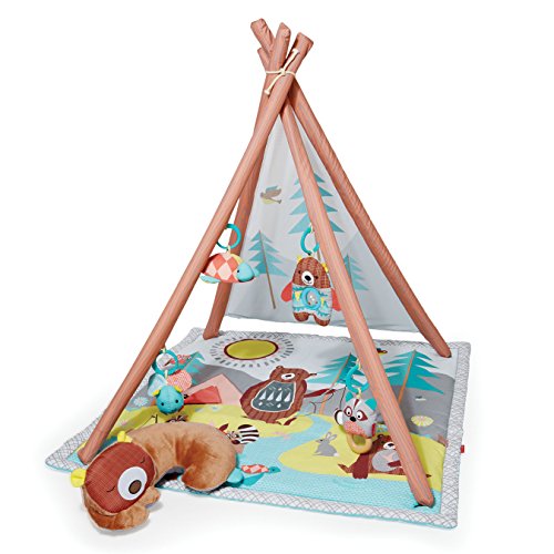 Shop Skip Hop Camping Cubs Activity Gym at Goodbuygears