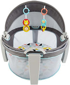 Shop Fisher Price On-the-Go Baby Dome at Goodbuygears