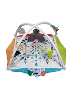 Shop Sassy Hello Baby Milestone Play Gym at Goodbuygears
