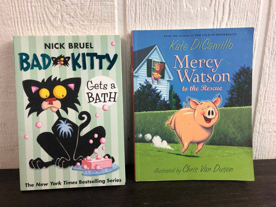 used BUNDLE Children’s Chapter Books