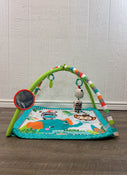 used Bright Starts Activity Gym, zig zag safari