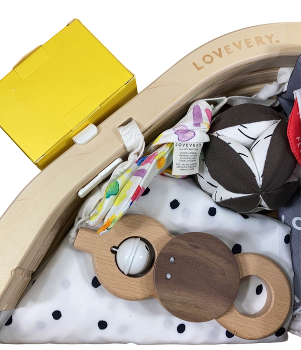 Shop Lovevery The Play Gym at Goodbuygears