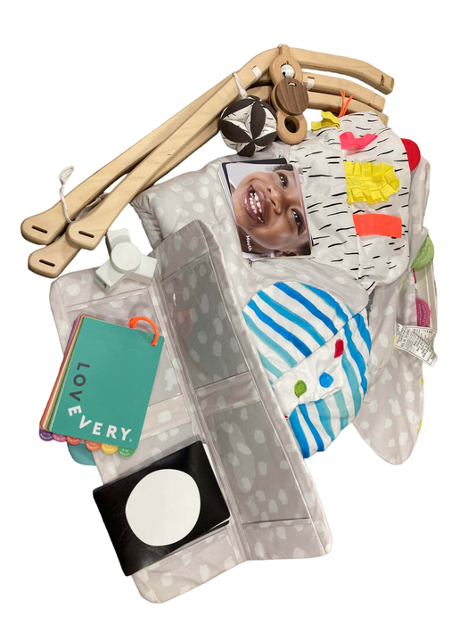 Shop Lovevery The Play Gym at Goodbuygears
