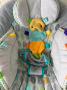 secondhand Taggies Soft N Snug Bouncer