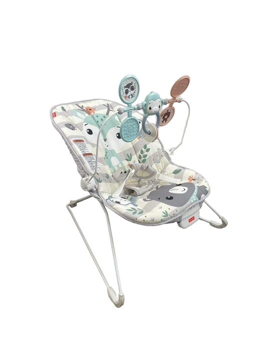 used Fisher Price Baby Bouncer, Pacific Pebble