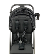 Shop Colugo Compact Stroller, 2023, Black at Goodbuygears