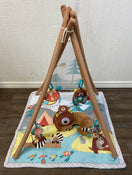 used Skip Hop Camping Cubs Activity Gym