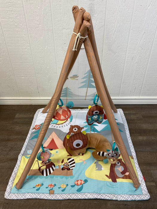 used Skip Hop Camping Cubs Activity Gym