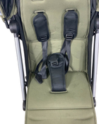 Shop Colugo Compact Stroller, 2023, Olive at Goodbuygears