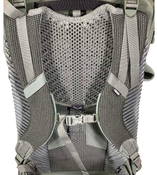 Shop Thule Sapling Child Carrier, Agave at Goodbuygears