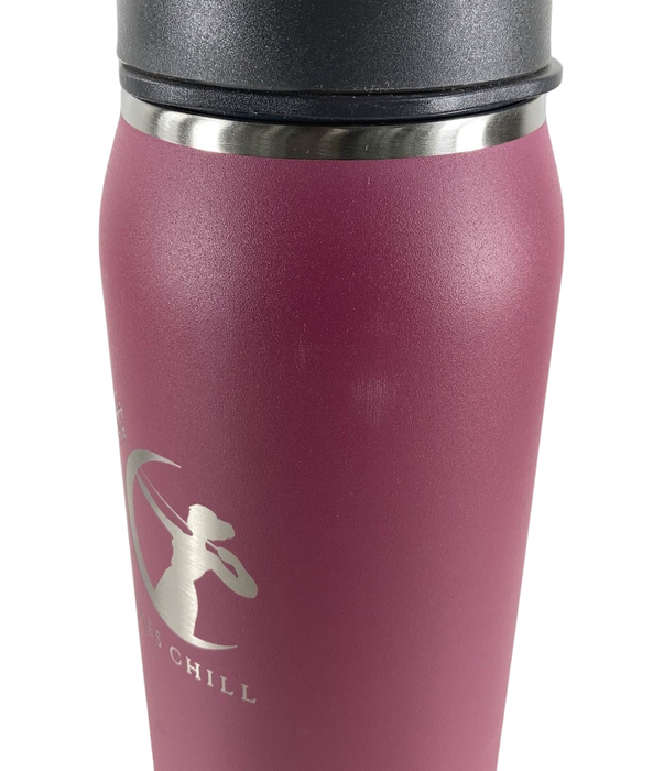 Shop Ceres Chill Breastmilk Chiller, Plum at Goodbuygears
