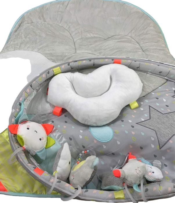 Shop Skip Hop Activity Gym Play Mat, Silver Lining Cloud at Goodbuygears