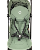 Shop Bugaboo Butterfly Stroller, Forest Green, 2022 at Goodbuygears