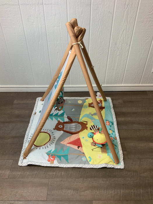 Shop Skip Hop Camping Cubs Activity Gym at Goodbuygears