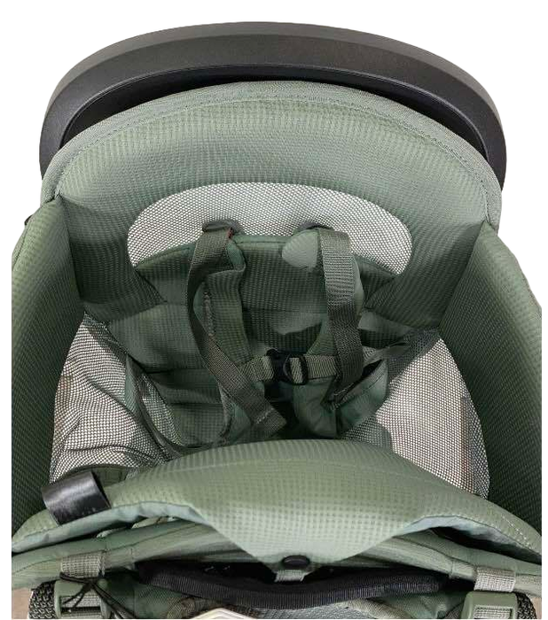 Shop Thule Sapling Child Carrier, Agave at Goodbuygears