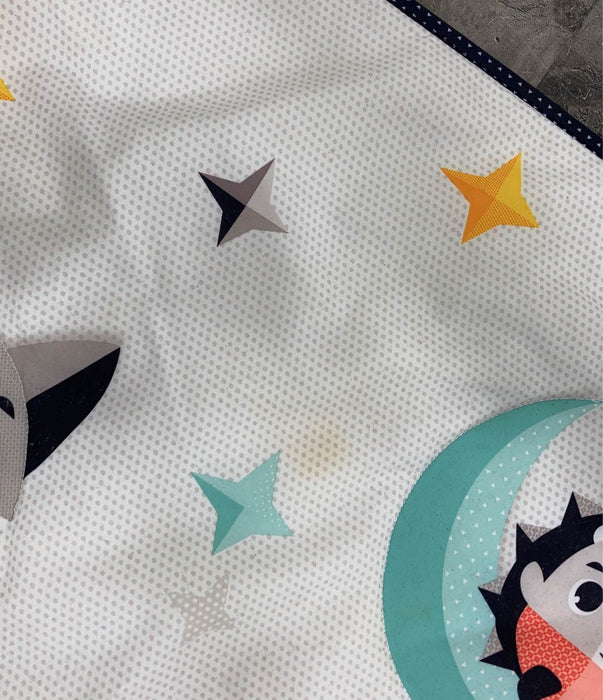 used Gyms Playmats